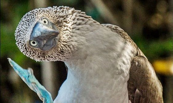 99349f7bc91a8bc18dcd48a326ab68ea